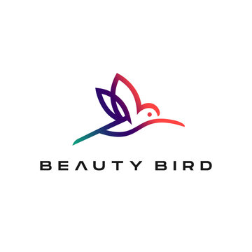 colorful vibrant hummingbird logo design. Colibri bird icon line logo in minimal abstract outline.