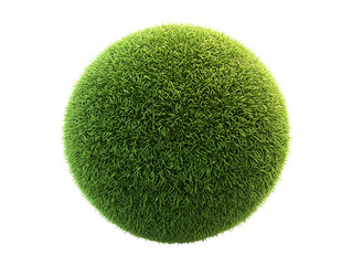 Green moss ball isolated on transparent or white background