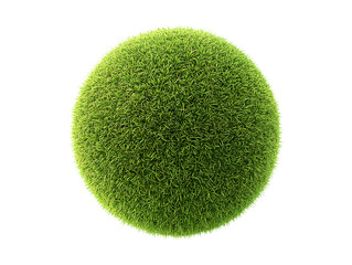 Green grass ball isolated on transparent or white background