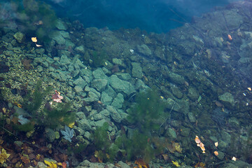 rocky lake bed with clear blue water. Close-up of the lake bottom with stones and algae.