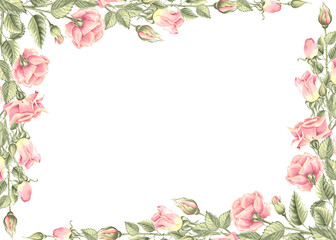 Roses flowers with green leaves. Spring postcard, frame horizontal. Hand drawn watercolor illustration isolated. Clipart of garden plant. Floral template with copy space for invitation, wedding, print