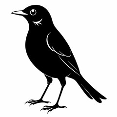 Nightingale Black silhouette