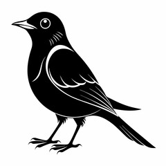 Nightingale Black silhouette