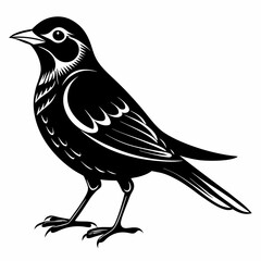 Nightingale Black silhouette