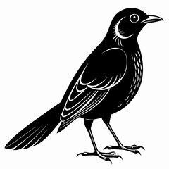 Nightingale Black silhouette