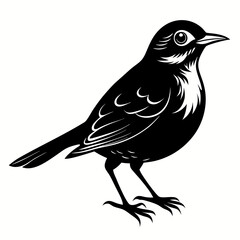 Nightingale Black silhouette