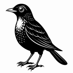 Nightingale Black silhouette
