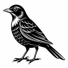 Nightingale Black silhouette