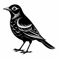 Nightingale Black silhouette