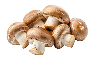 Champignon mushrooms isolated on transparent or white background, png
