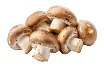 Champignon mushrooms isolated on transparent or white background, png