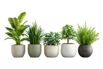 Obraz premium Collection of beautiful plants in ceramic pots isolated on transparent or white background, png