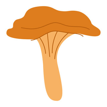 recommend clip art: Russula mushroom. Red cap fungi, autumn forest food plant. Gilled fungus. Fall russule icon. Botanical flat graphics