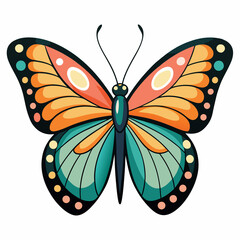 A Butterfly with White Background