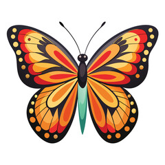 A Butterfly with White Background