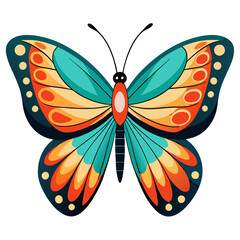 A Butterfly with White Background