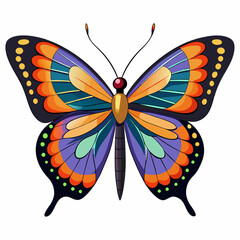 A Butterfly with White Background