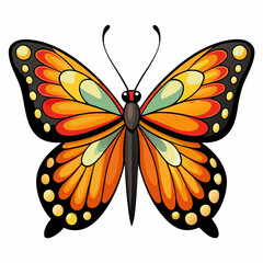 A Butterfly with White Background