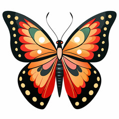 A Butterfly with White Background