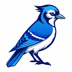 Blue jay Black silhouette