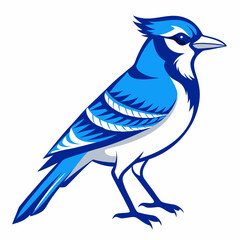 Blue jay Black silhouette