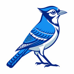 Blue jay Black silhouette