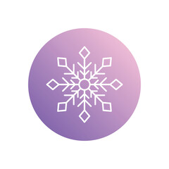 Snowflake icon isolated on a white background. Vector illustration.