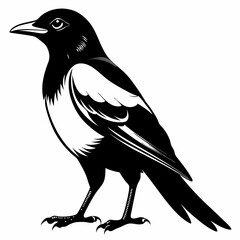 Magpie Black silhouette
