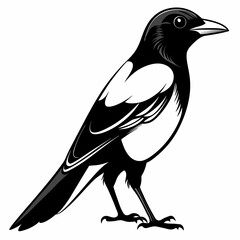 Magpie Black silhouette