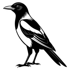 Magpie Black silhouette