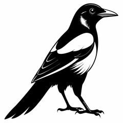 Magpie Black silhouette