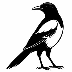 Magpie Black silhouette