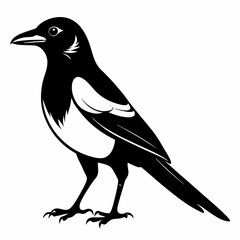Magpie Black silhouette