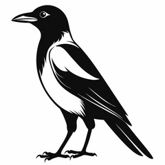 Magpie Black silhouette