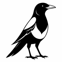 Magpie Black silhouette
