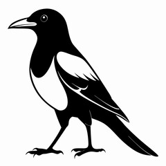 Magpie Black silhouette