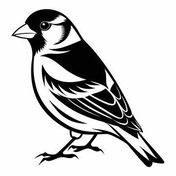 recommend clip art: Goldfinch Black silhouette