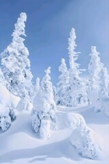 snow season, winter, ice season, nature, snowfall, hail, winter wallpaper, snow art, ice season in japan, snow in the mountains, amazing view