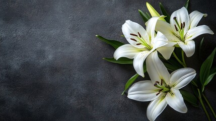 floral branch of white lilies on a soft background ideal for mourning and condolence cards perfect for a funeral tribute with space for sympathy and peaceful remembrance