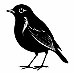 Robin Black silhouette