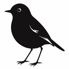 Robin Black silhouette
