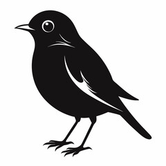 Robin Black silhouette