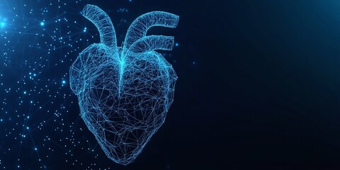 digital human heart 3d render with low-poly wireframe healthcare technology concept in blue medical innovation anatomy cardiology and futuristic health systems for diagnostics