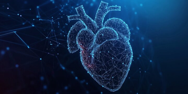 healthcare technology concept with digital 3d human heart in low-poly wireframe and polygon mesh blue high-tech medical anatomy innovation diagnostics and futuristic system - Powered by Adobe