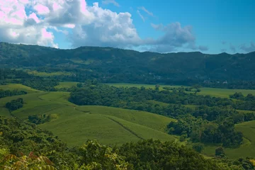 Fototapete Rund Green Agriculture Field Landscape with Green Trees and Mountain Range 2 © ArtAllureAnimations