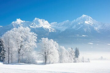 Snow-Covered Trees and Mountains in a Winter Landscape