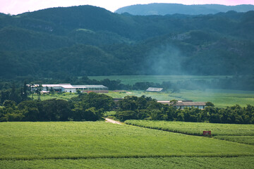 Green Agriculture Field Landscape with Green Trees and Mountain Range 6
