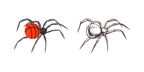 Flat and sketch style spider, isolated on white background. Drawing sketch of the black spider. Halloween, folklore black magic attribute. Vector.
