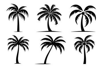 Fototapeta premium PNG palm tree silhouette element set, transparent background