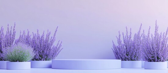 Podium display featuring lavender flowers against a pastel purple backdrop Mockup for exhibitions product presentations wellness and relaxation 3D render